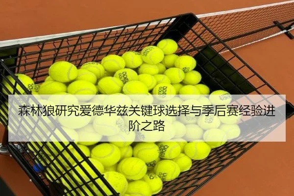 森林狼研究爱德华兹关键球选择与季后赛经验进阶之路