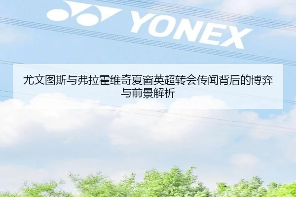 尤文图斯与弗拉霍维奇夏窗英超转会传闻背后的博弈与前景解析